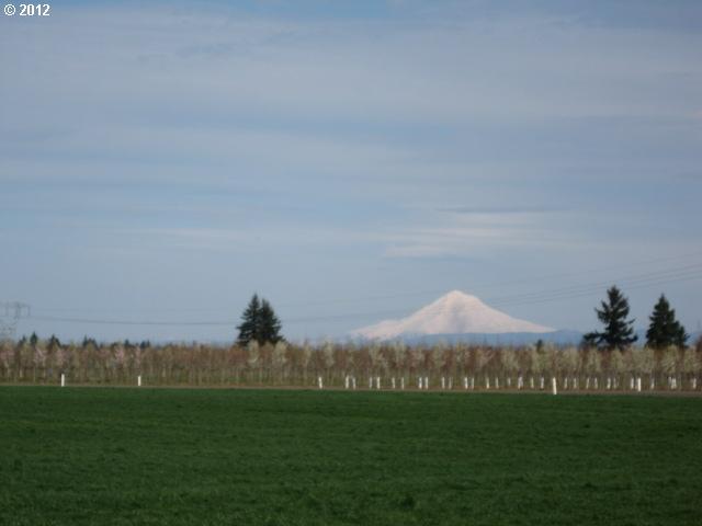 10194 Broadacres Road Northeast Hubbard, OR 97032 - Photo 1 of 13