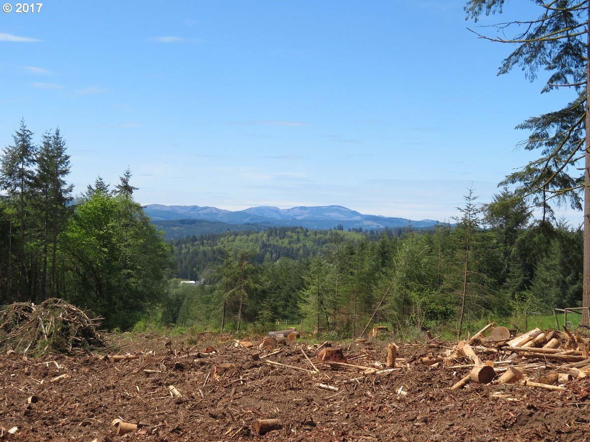 South Military Road Winlock, WA 98596 - Photo 5 of 26