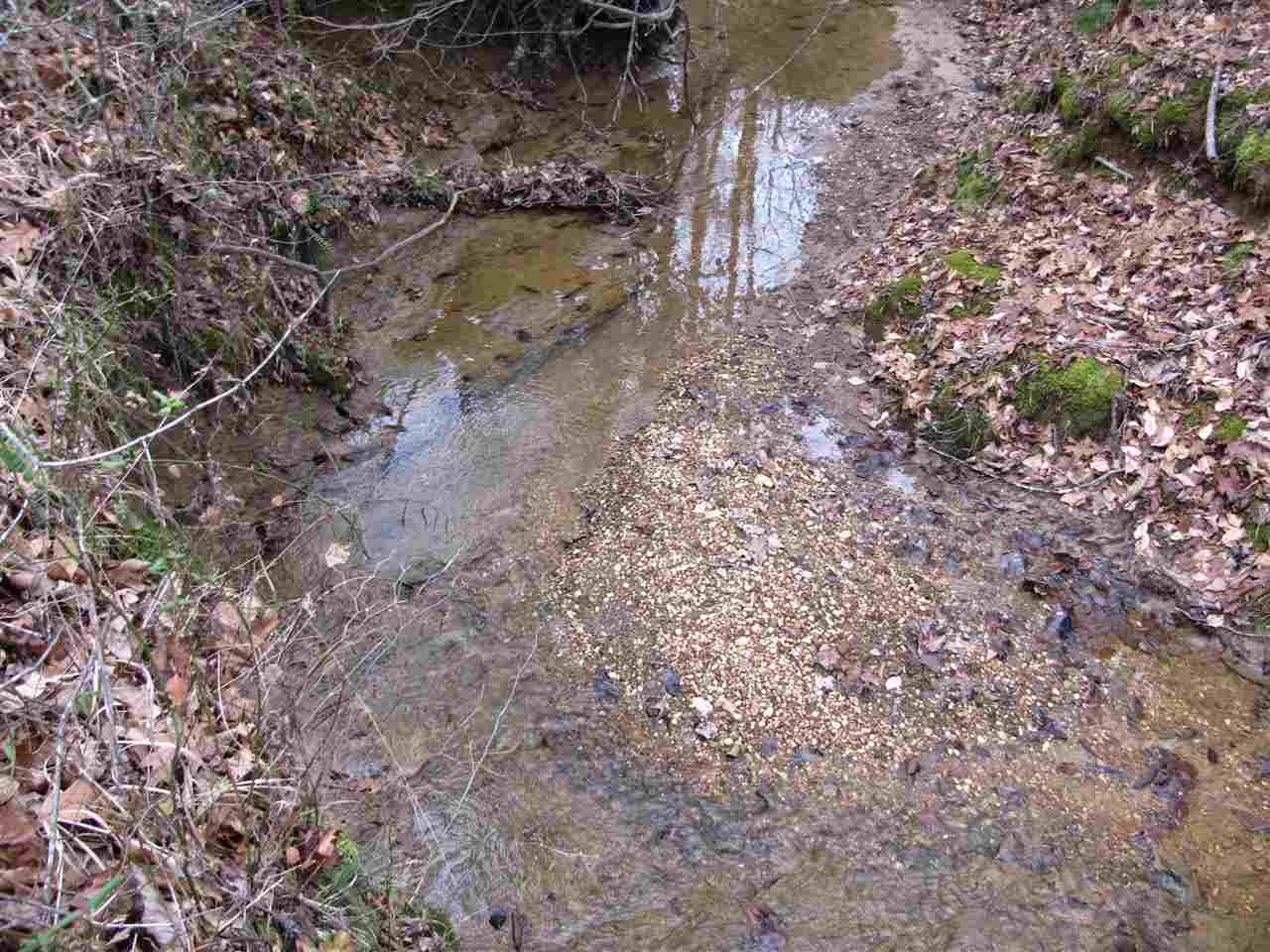 134 5 Forks Road Saltillo, TN 38370 - Photo 22 of 24 Gallery Image 22