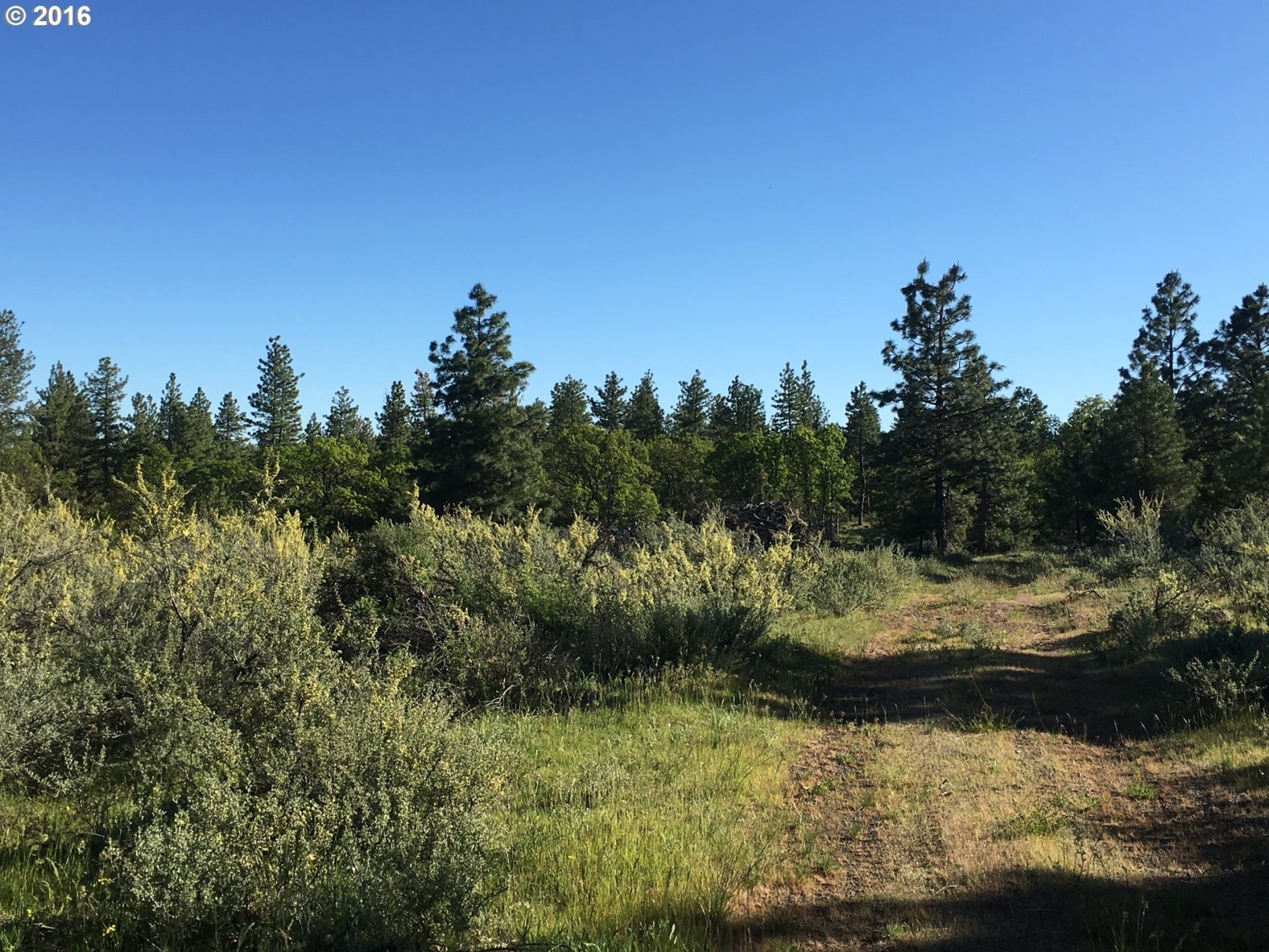 7805 Skyline Road The Dalles, OR 97058 - Photo 3 of 20 Gallery Image 3