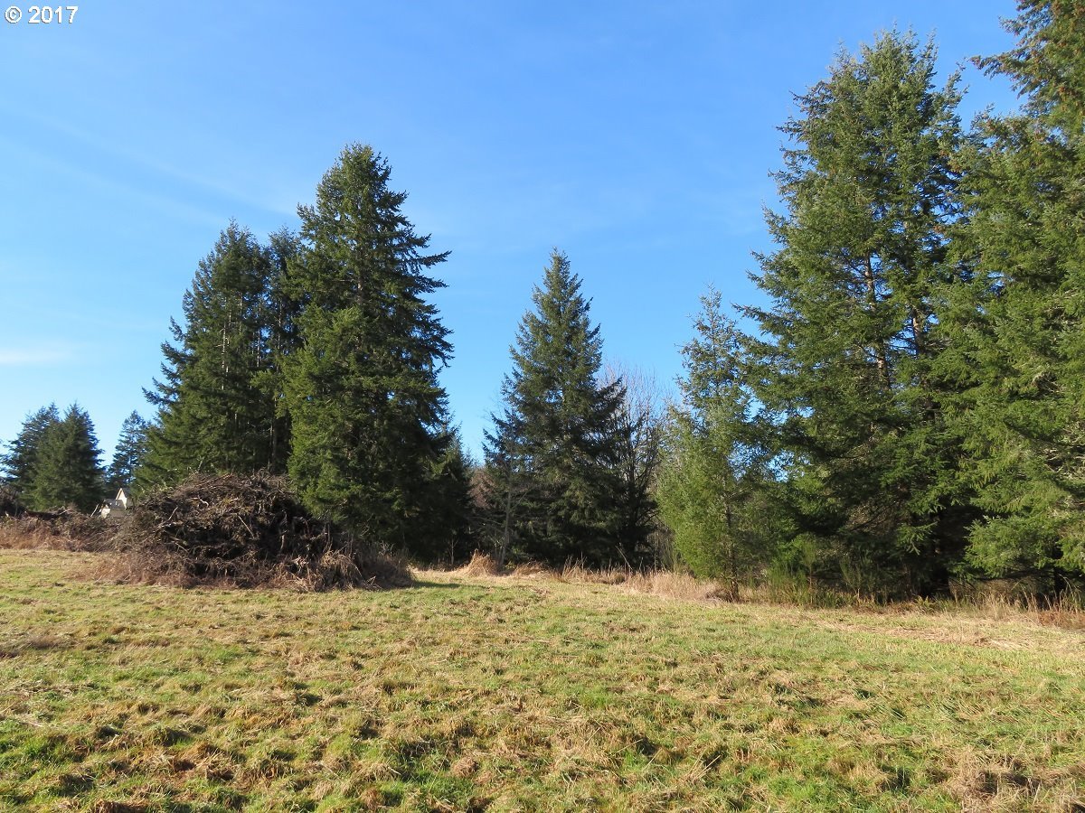 Cousins Road, Unit 1 Chehalis, WA 98532 - Photo 1 of 32