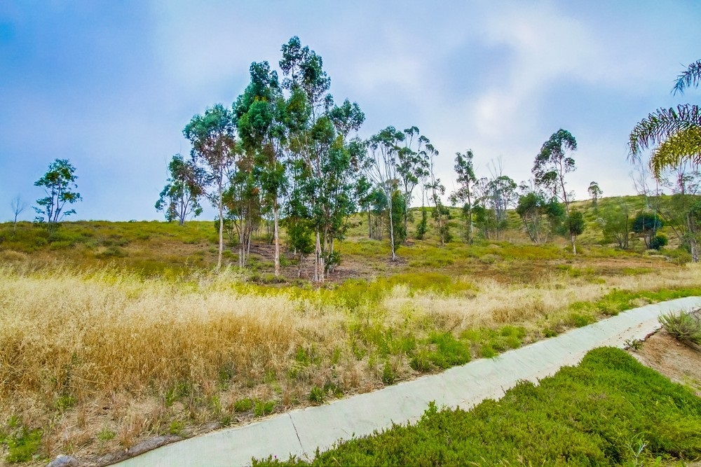 17312 Ralphs Ranch Road San Diego, CA 92127 - Photo 25 of 25