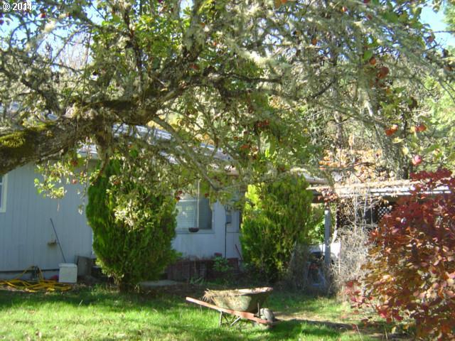 170 Rod And Gun Club Road Riddle, OR 97469 - Photo 2 of 5