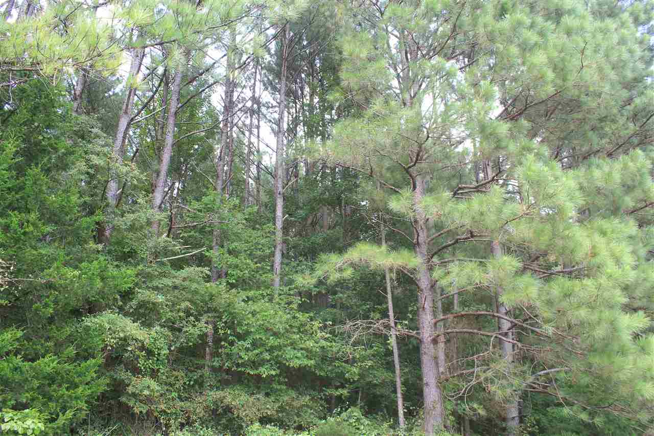 0 Robert Ford Road Waterford, MS 38685 - Photo 14 of 25