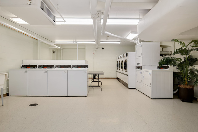 30 E Elm St, Chicago, IL 60611 - Photo 9 of 17