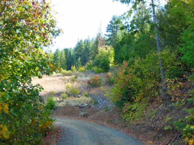 Cedar Springs Road Trout Lake, WA 98650 - Photo 14 of 14 Gallery Image 14
