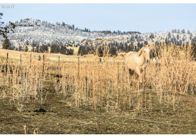 43190 Kahler Basin Road Spray, OR 97874 - Photo 1 of 32