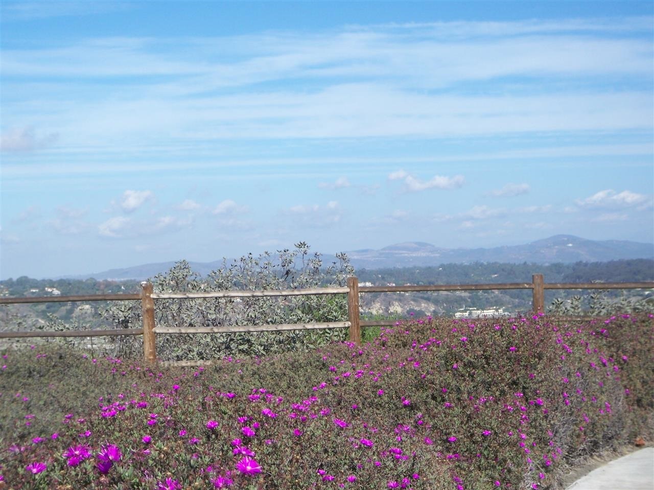 13312 Pantera Road San Diego, CA 92130 - Photo 23 of 25 View of mountains from nearby .Overlook Park