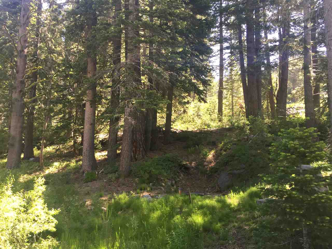 6900 River Road Truckee, CA 96161 - Photo 10 of 17