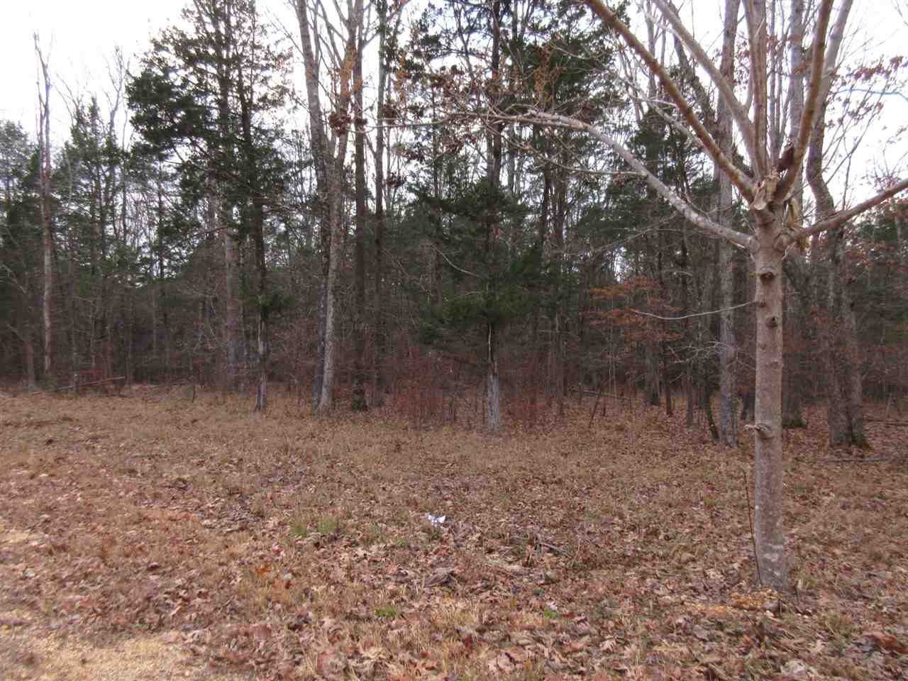 0 Rays Cove Clifton, TN 38425 - Photo 2 of 5 Gallery Image 2