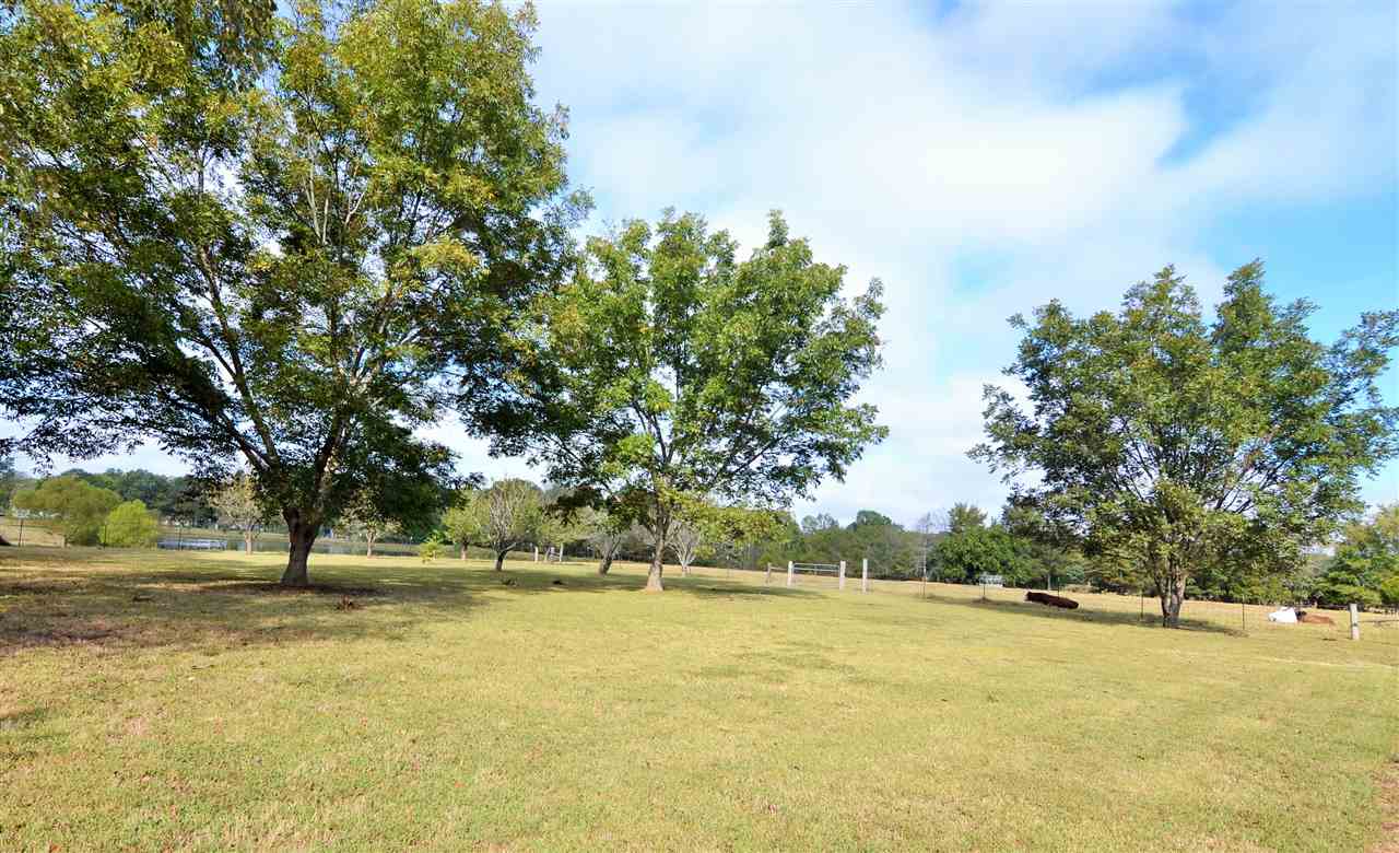 640 Rich Road Somerville, TN 38068 - Photo 24 of 25 Gallery Image 24
