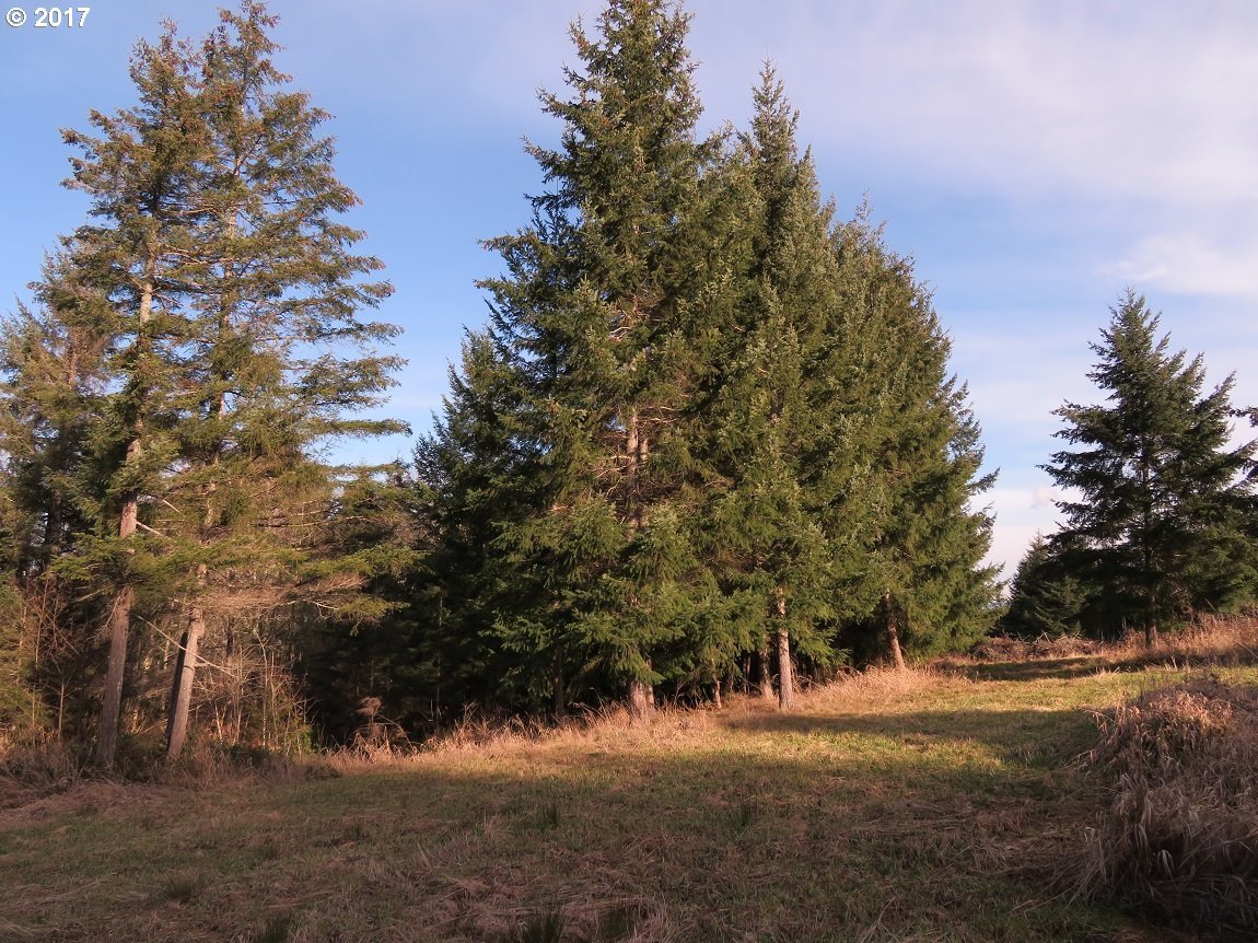 Cousins Road, Unit 3 Chehalis, WA 98532 - Photo 10 of 32