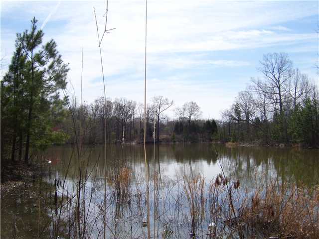 1334 Shinault Road Byhalia, MS 38611 - Photo 18 of 25 Gallery Image 18