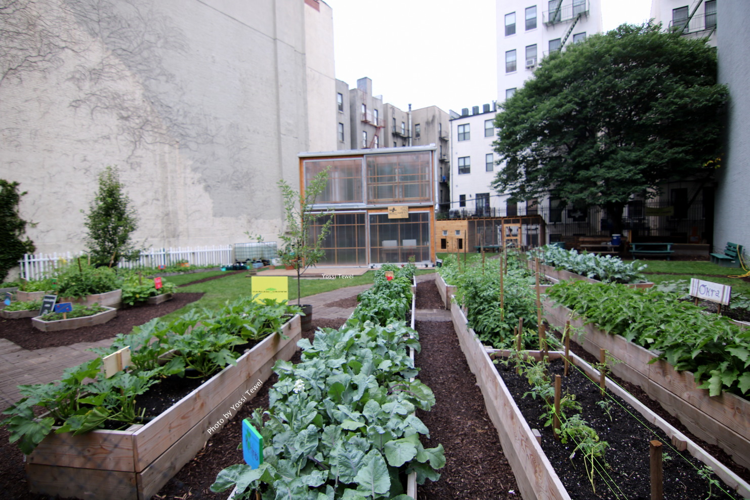 79 West 127th Street, Unit 2B Manhattan, NY 10027 - Photo 7 of 8