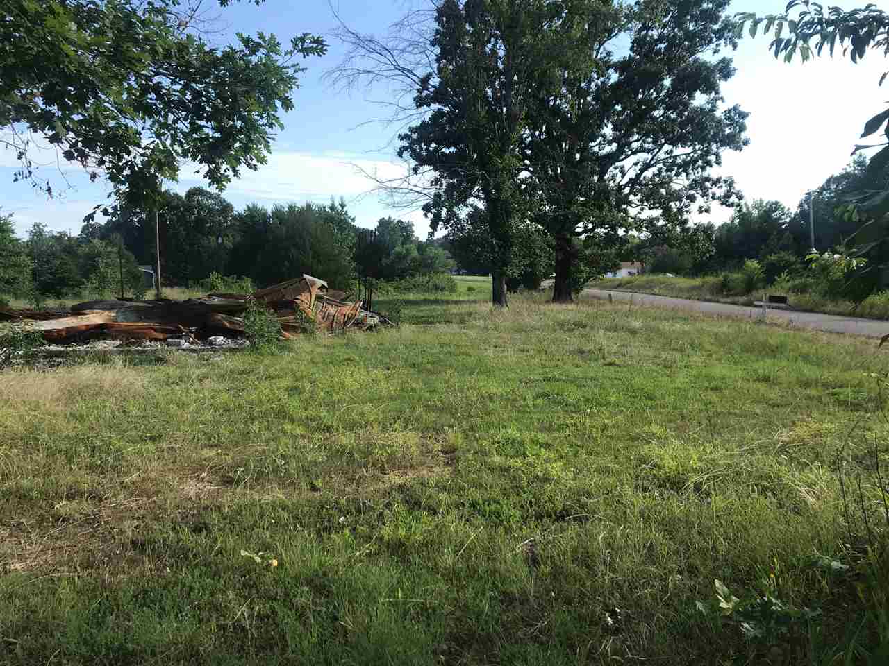 95-117 Meeks Road Adamsville, TN 38310 - Photo 3 of 12