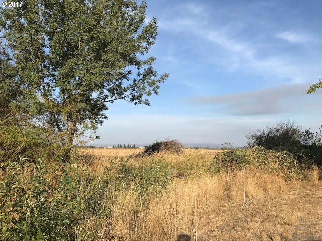 10860 Duckflat Road Southeast Turner, OR 97392 - Photo 10 of 13 Gallery Image 10