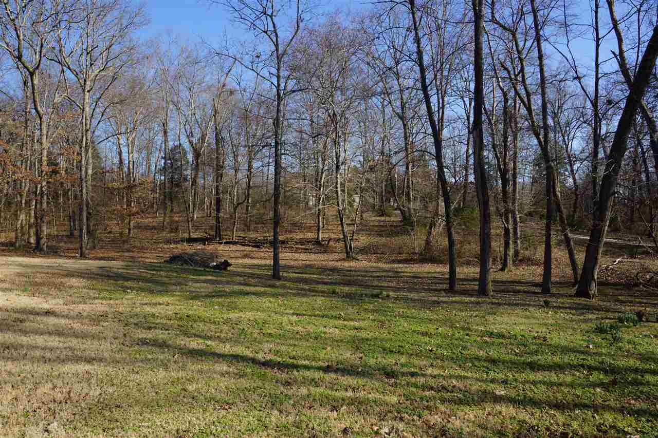 3980 Price Road Moscow, TN 38057 - Photo 4 of 21 Gallery Image 4