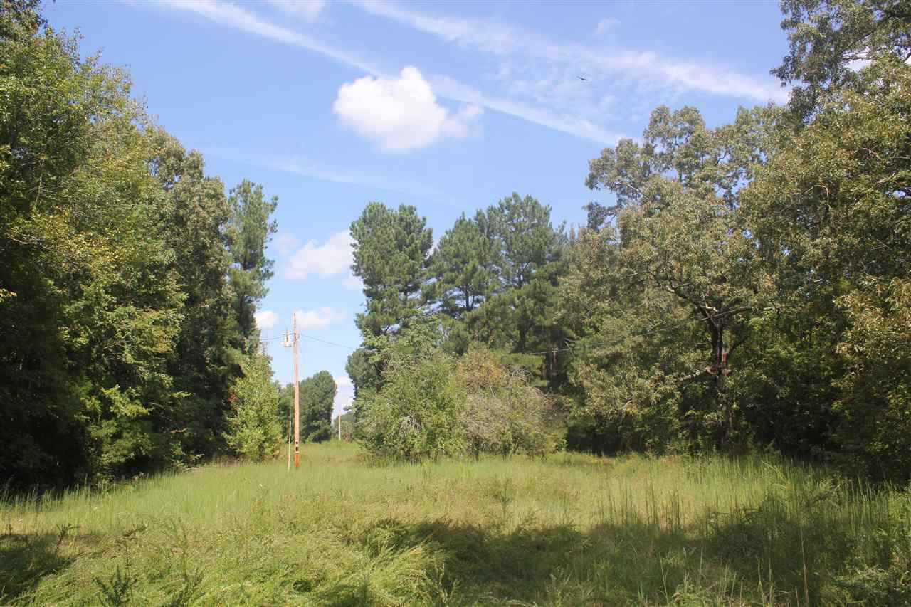 137 Valentine Road Holly Springs, MS 38642 - Photo 16 of 24 Gallery Image 16