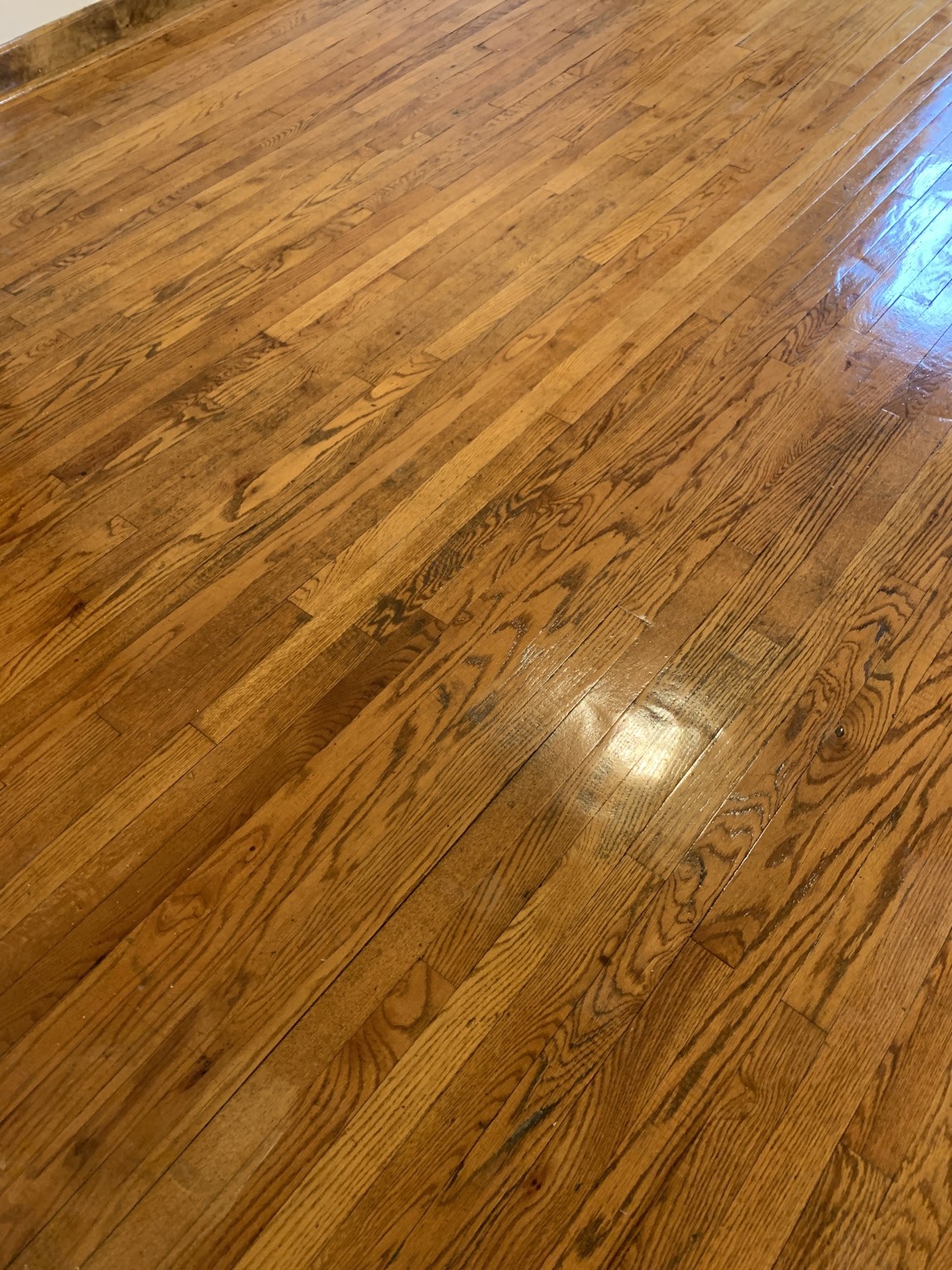 386 14th Street, Unit 3F Brooklyn, NY 11215 - Photo 8 of 12