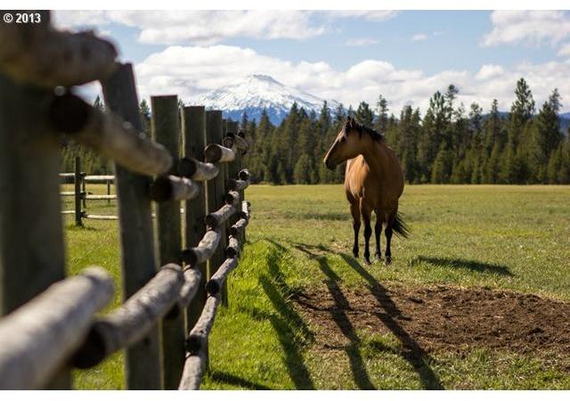 55975 Hashknife Road Bend, OR 97707 - Photo 11 of 16 Gallery Image 11