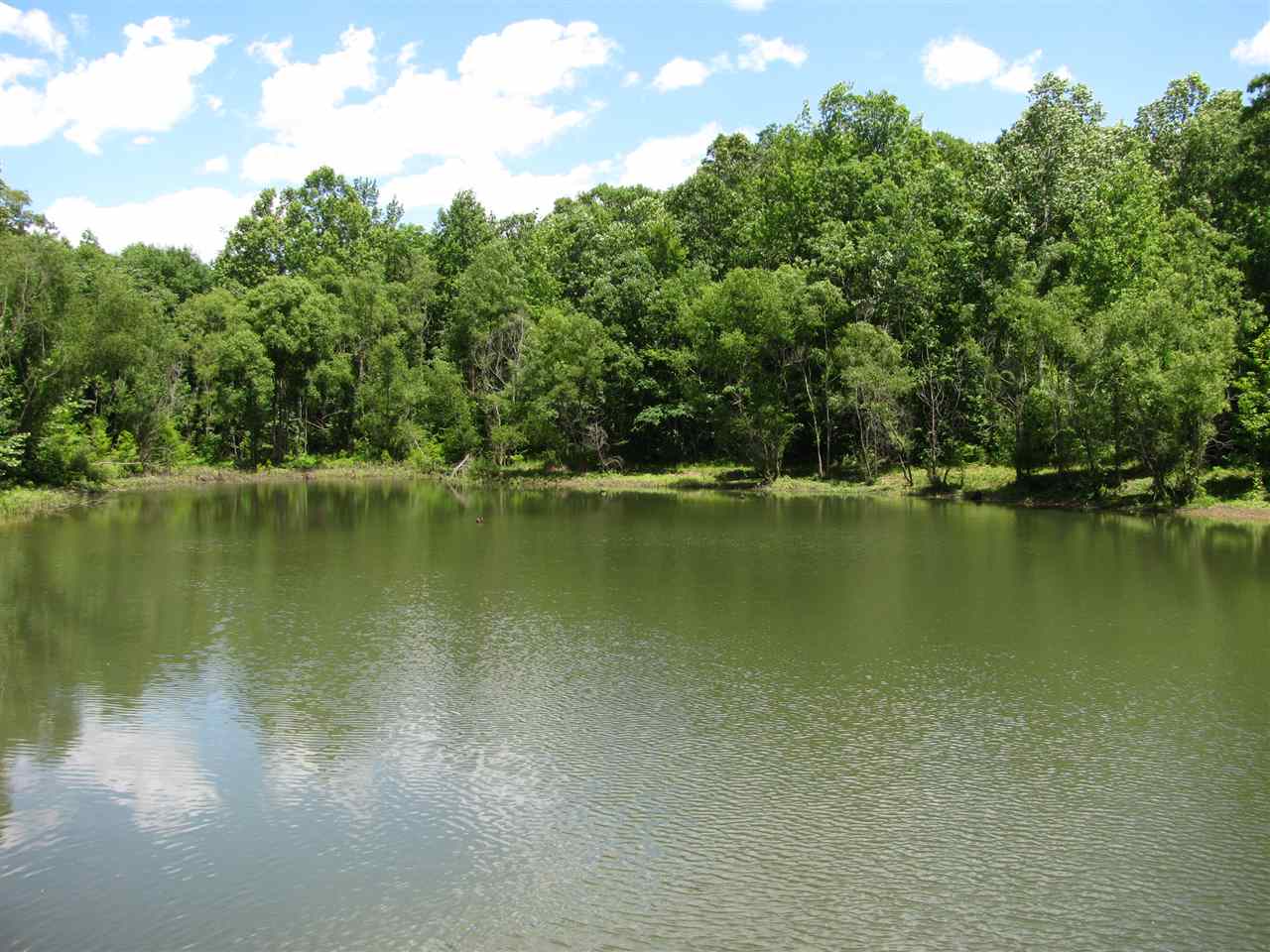 1360 Old Union Road Adamsville, TN 38310 - Photo 19 of 25 Gallery Image 19