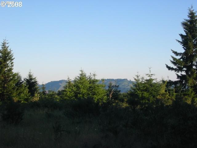 0 Northwest Hayward Road Manning, OR 97125 - Photo 1 of 1 Gallery Image 1