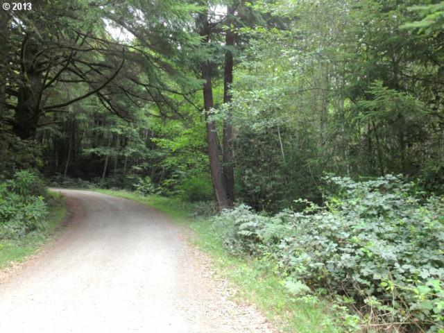 Taylor Creek Road Brookings, OR 97415 - Photo 8 of 12 Gallery Image 8