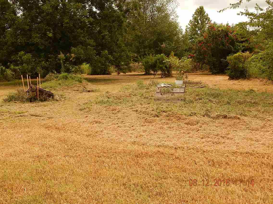 1504 Mathis Road Drummonds, TN 38023 - Photo 17 of 18 Gallery Image 17