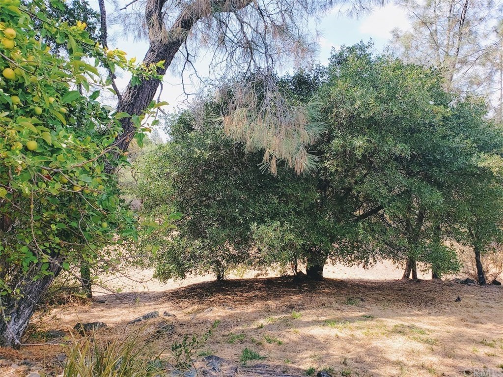 520 Black Bart Road Oroville, CA 95966 - Photo 19 of 19