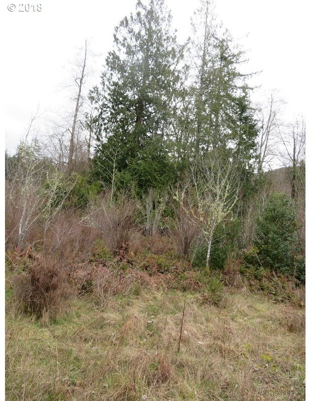 East Mox Chehalis Road McCleary, WA 98557 - Photo 13 of 29 Gallery Image 13
