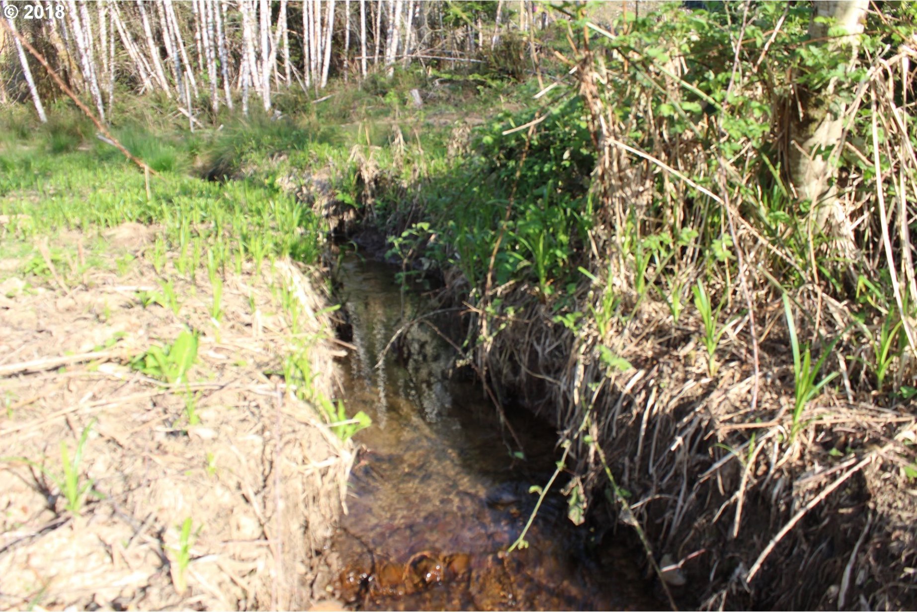 Elochoman Valley Cathlamet, WA 98612 - Photo 7 of 26