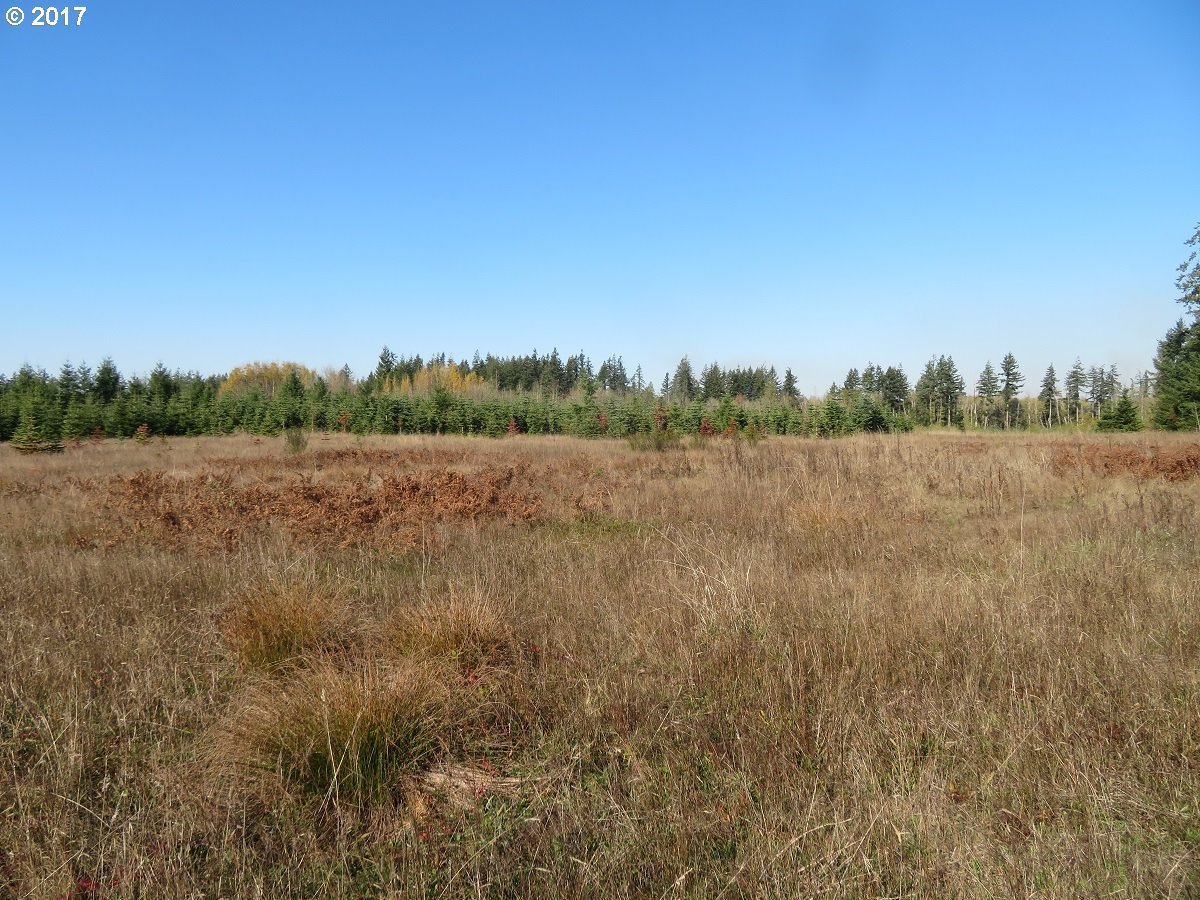 Antrim Road Winlock, WA 98596 - Photo 11 of 32