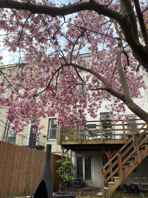 237 Bergen Street, Unit 1 Brooklyn, NY 11217 - Photo 7 of 12