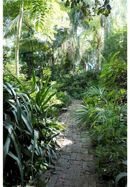 3571 Linden Lane Miami, FL 33133 - Photo 3 of 24