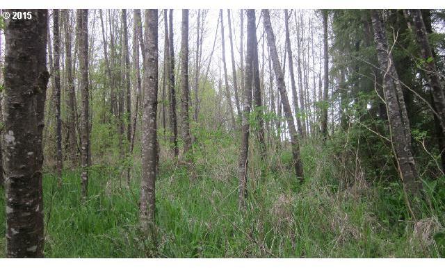 Leonard Road Onalaska, WA 98570 - Photo 9 of 16 Gallery Image 9