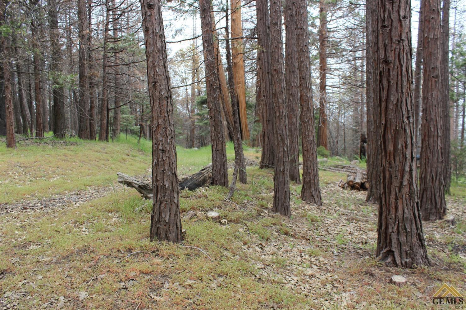 0 47825 Bear Trap Posey, CA 93260 - Photo 18 of 20