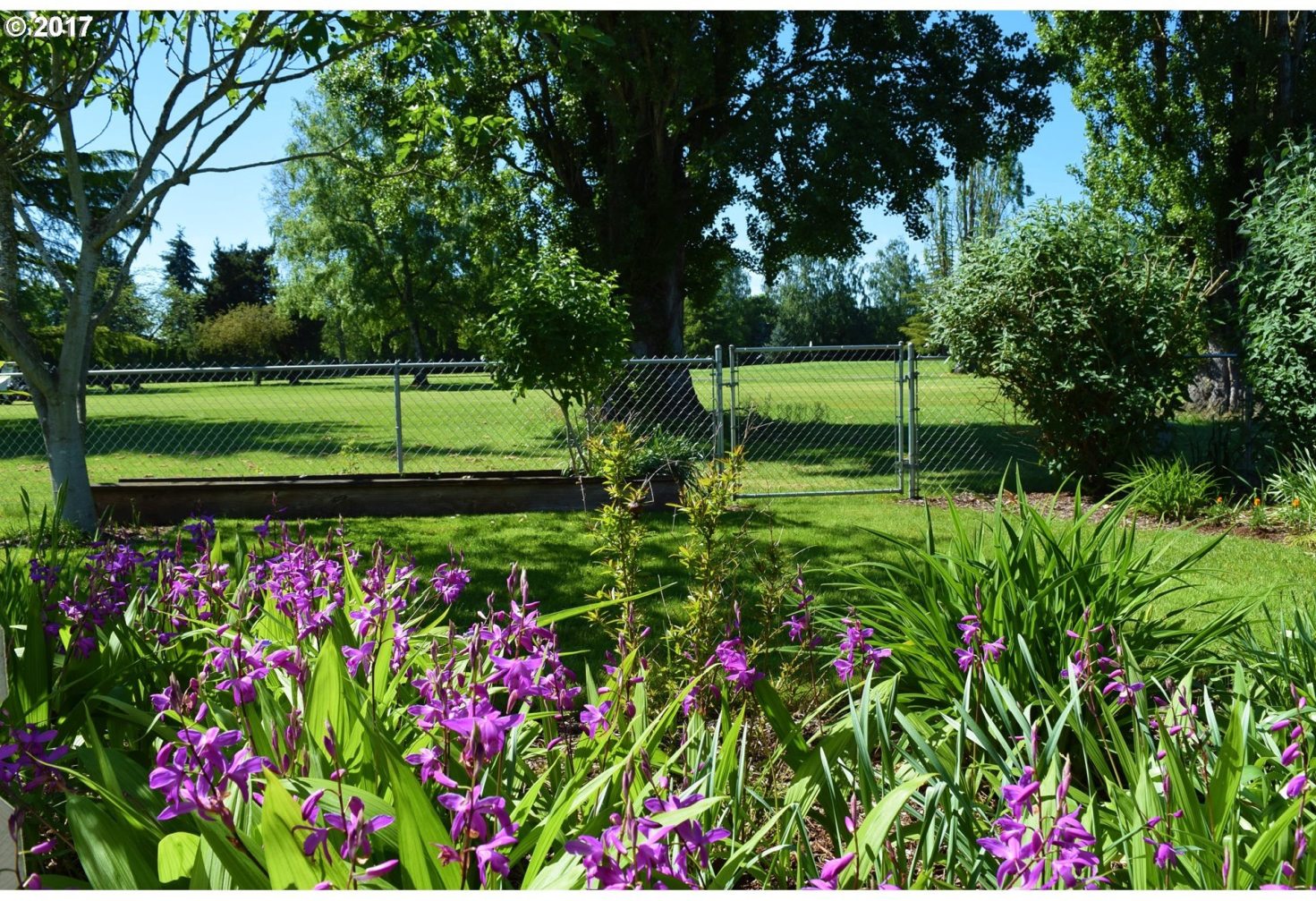 1697 Princeton Road Woodburn, OR 97071 - Photo 8 of 17 Gallery Image 8