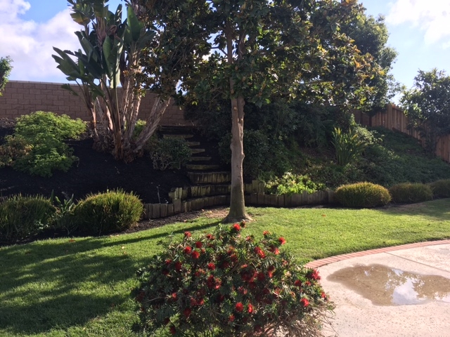 4749 Gateshead Road Carlsbad, CA 92010 - Photo 6 of 14