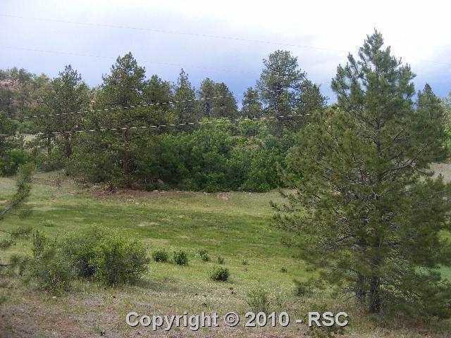 752 Sioux Road Florissant, CO 80816 - Photo 10 of 13 Gallery Image 10