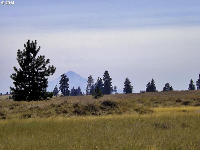 Dot Road Roosevelt, WA 99356 - Photo 2 of 10 Gallery Image 2