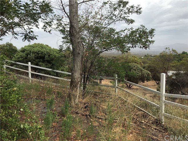 52685 Saddleback Road Anza, CA 92539 - Photo 4 of 39