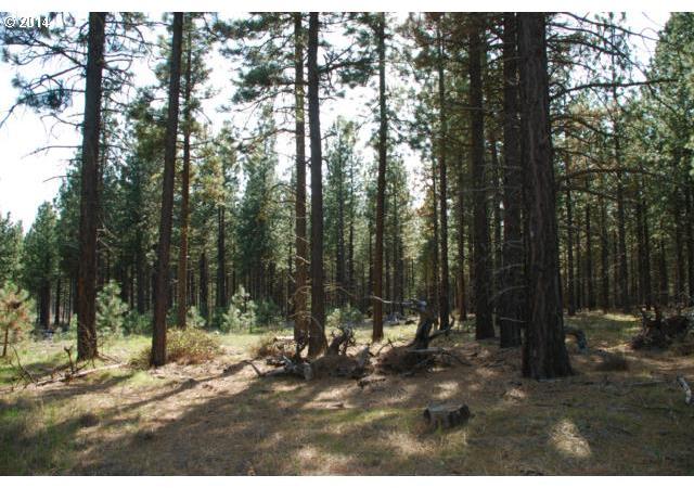 Box Canyon Road, Unit 1 Goldendale, WA 98620 - Photo 4 of 15 Gallery Image 4