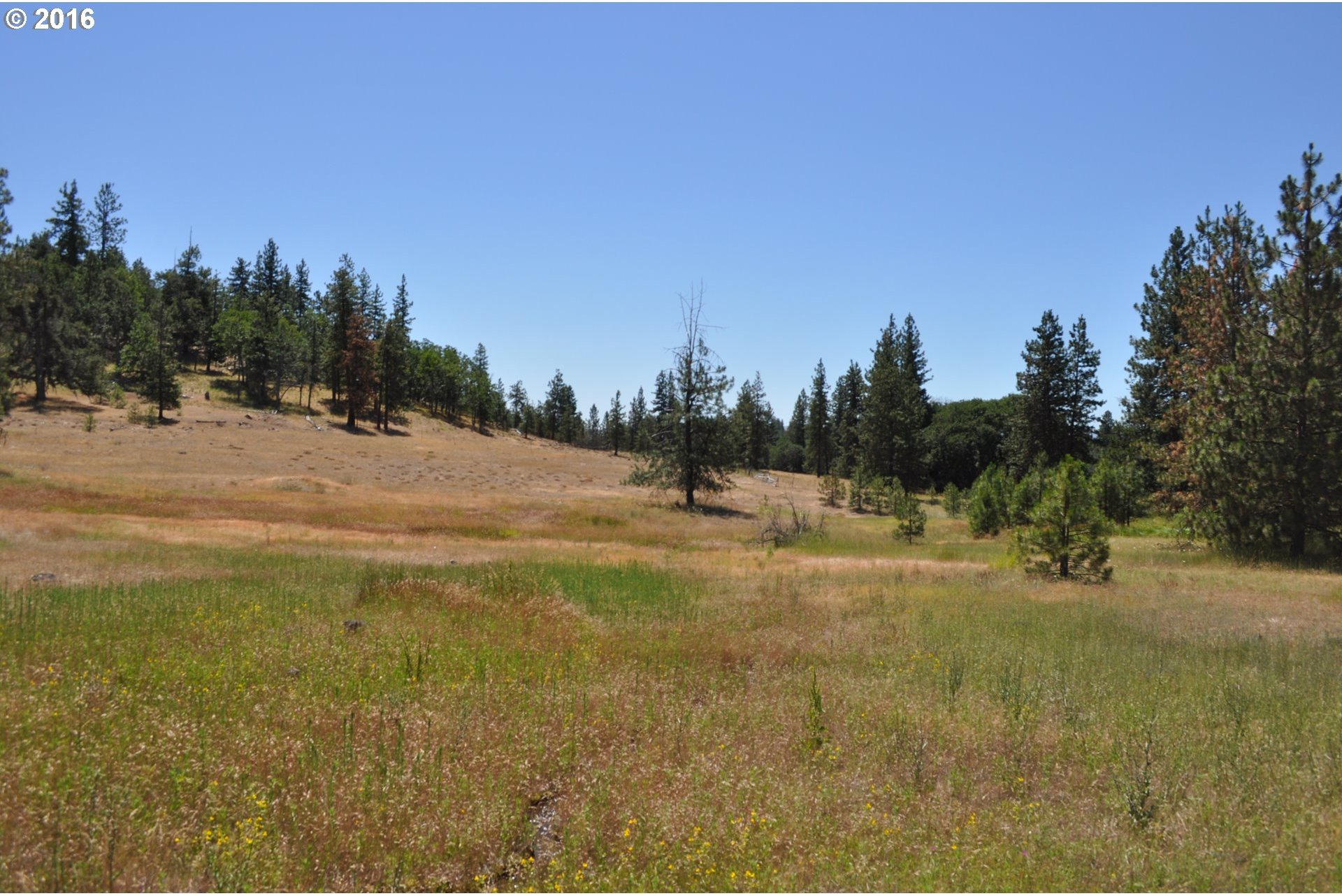 29 Hideaway Road Goldendale, WA 98620 - Photo 2 of 7 Gallery Image 2