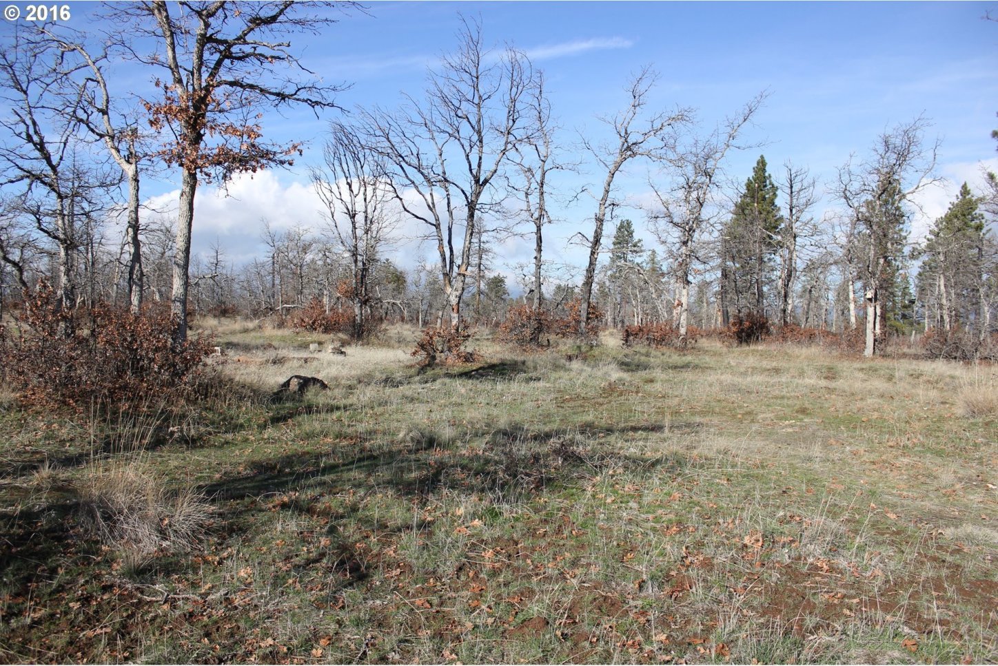 47 Sutherland Trail Goldendale, WA 98620 - Photo 4 of 9 Gallery Image 4