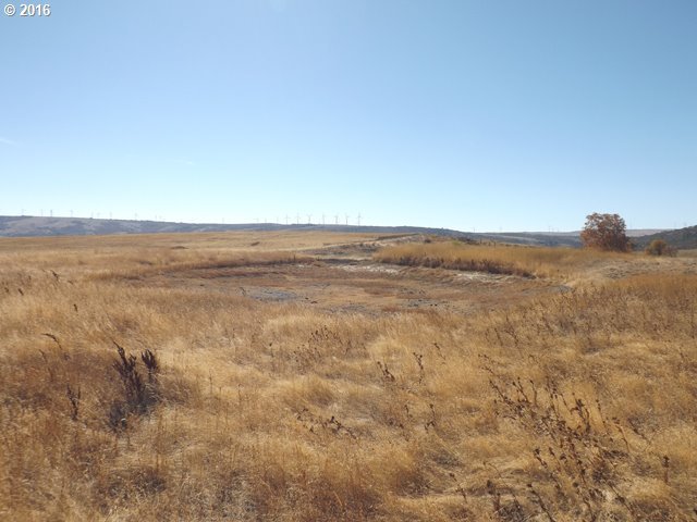Dightons Road Goldendale, WA 98620 - Photo 8 of 15 Gallery Image 8