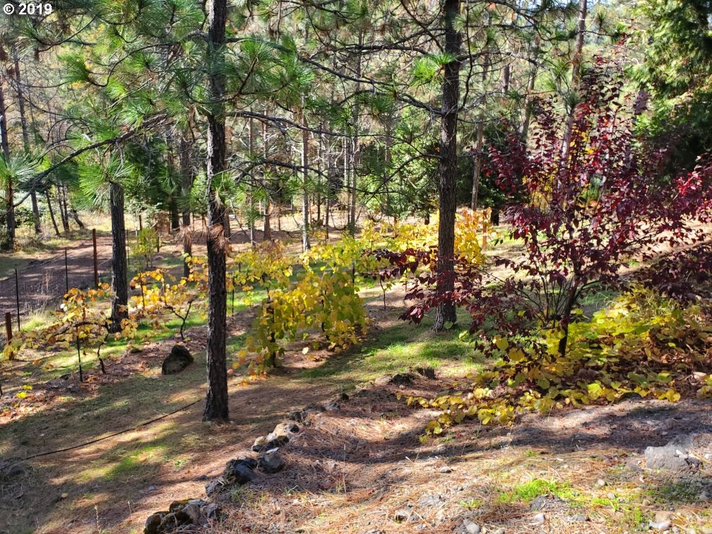 4580 Old House Creek Road Agness, OR 97406 - Photo 28 of 31