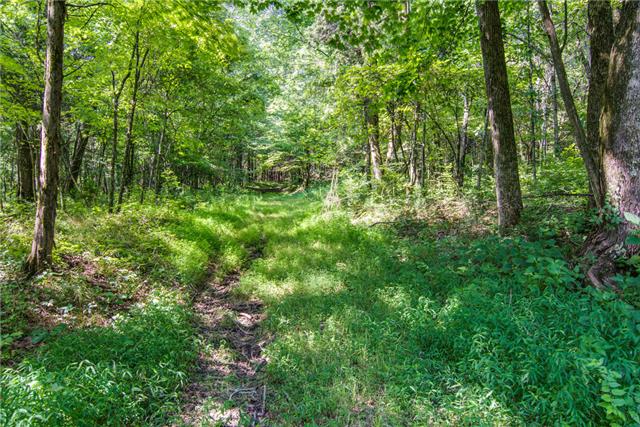 8531 Taliaferro Road Eagleville, TN 37060 - Photo 10 of 16 Gallery Image 10
