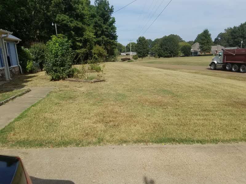 637 Portersville Road Atoka, TN 38004 - Photo 5 of 25 Gallery Image 5