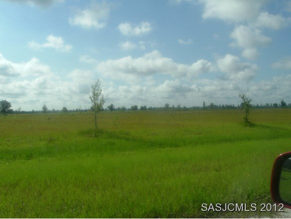 375 Pleasant Colony Road Elkton, FL 32033 - Photo 8 of 10 Gallery Image 8
