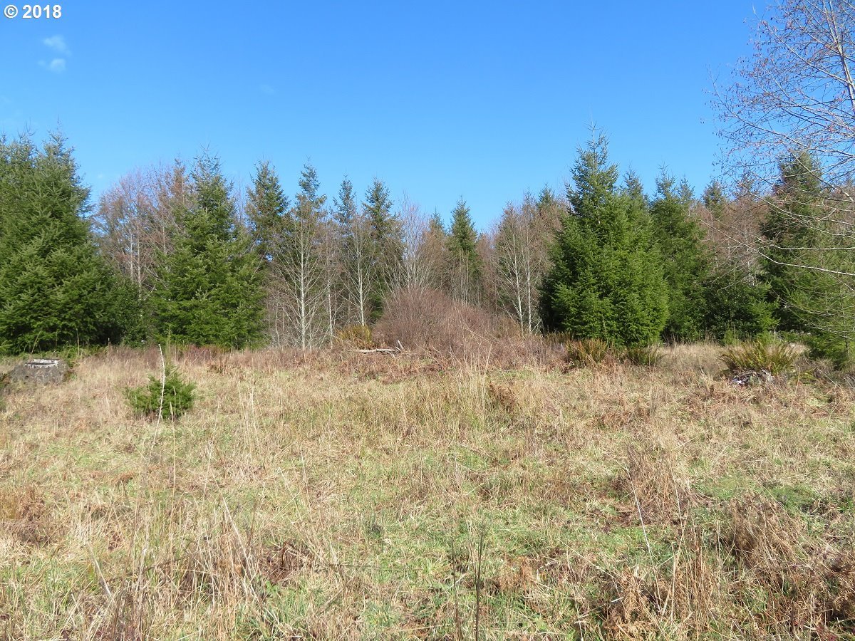Skees Road, Unit 27 Raymond, WA 98577 - Photo 5 of 28 Gallery Image 5